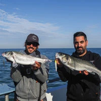 Savage Gear Surf Seekers